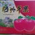山西隰县黄土高原红富士苹果脆甜口感70mm以上纸袋
