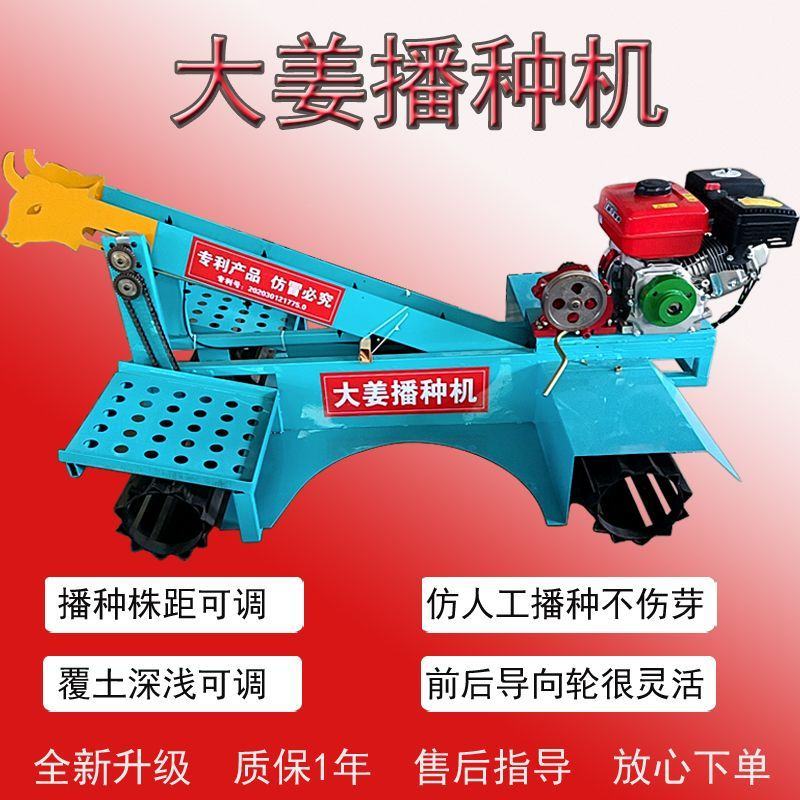 大姜播种机种大姜机器生姜种植机新款种植机器