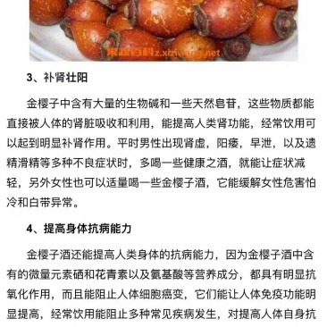金樱子，一手货源，质量保证，支持一件代发