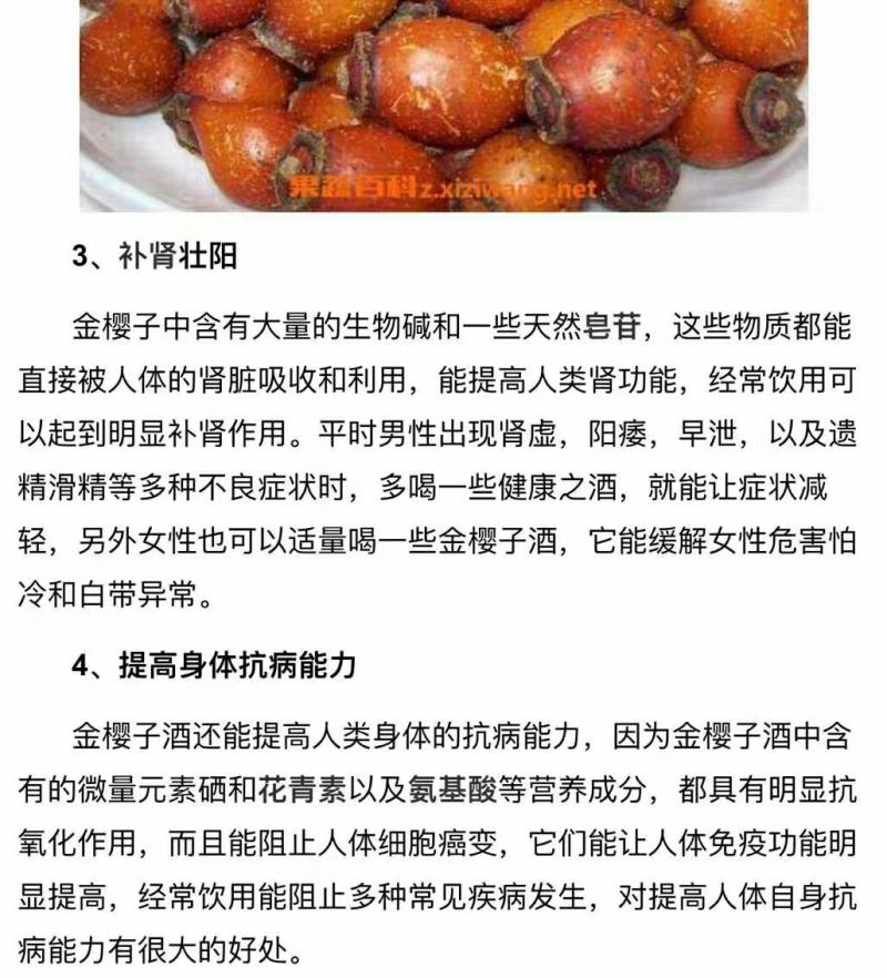 金樱子，一手货源，质量保证，支持一件代发