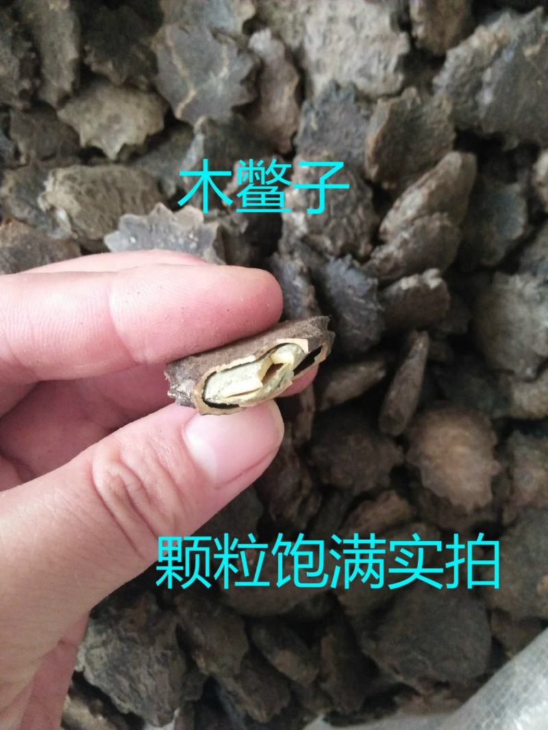木鳖子，木别子，木鳖子仁质量保证现货供应欢迎咨询合作！