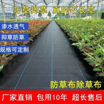 火龙果果园除草布可定制防草布pet除草布超长寿命防草布