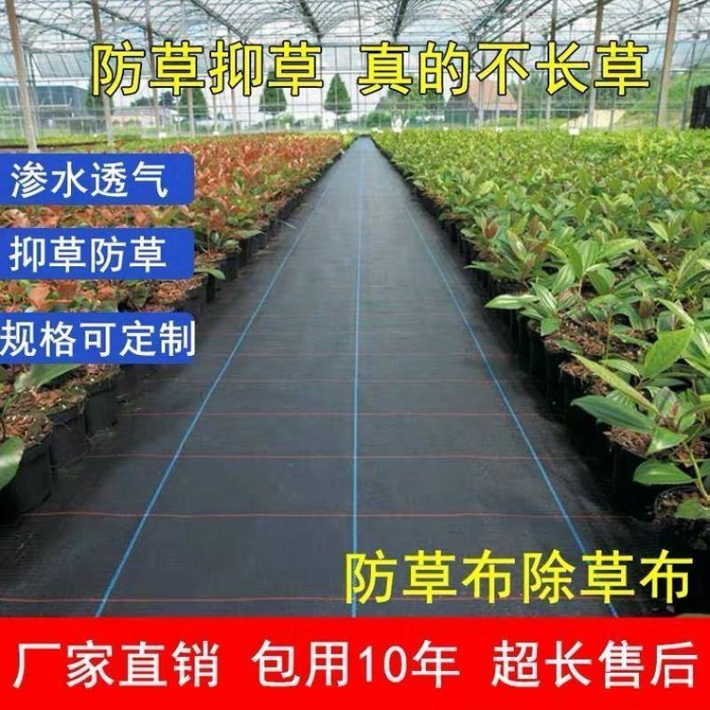 火龙果果园除草布可定制防草布pet除草布超长寿命防草布