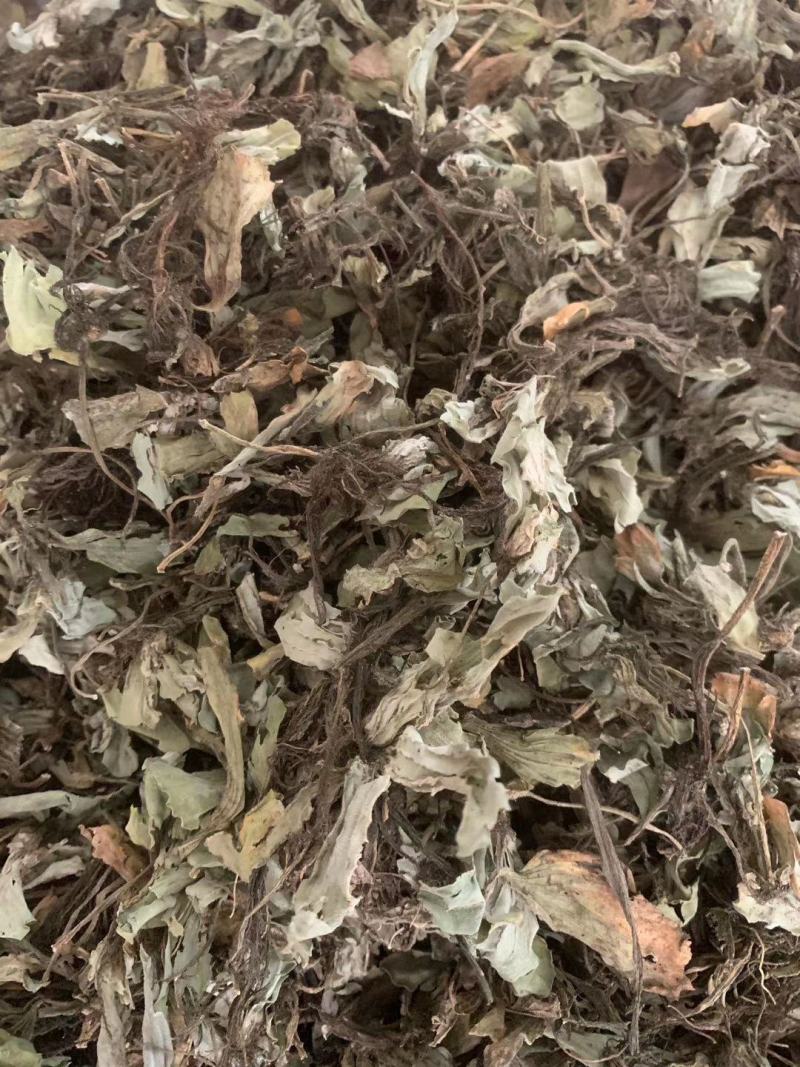 浮萍【包邮】三斤起发货可批量可零售量大从优
