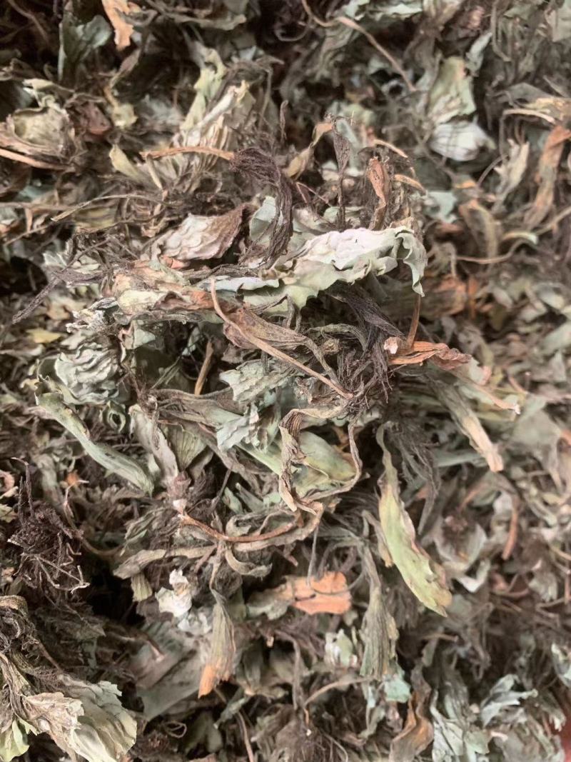 浮萍【包邮】三斤起发货可批量可零售量大从优