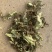 浮萍【包邮】三斤起发货可批量可零售量大从优