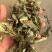 浮萍【包邮】三斤起发货可批量可零售量大从优