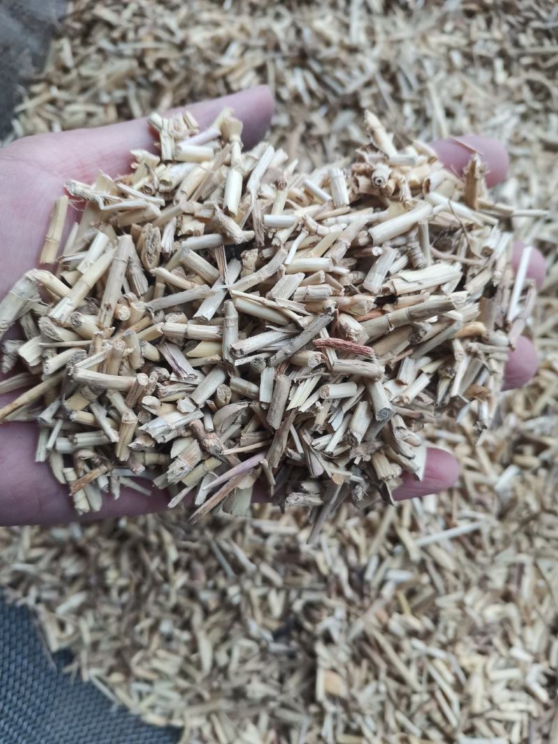 【诺一药材】白茅根可视频看货精品药材