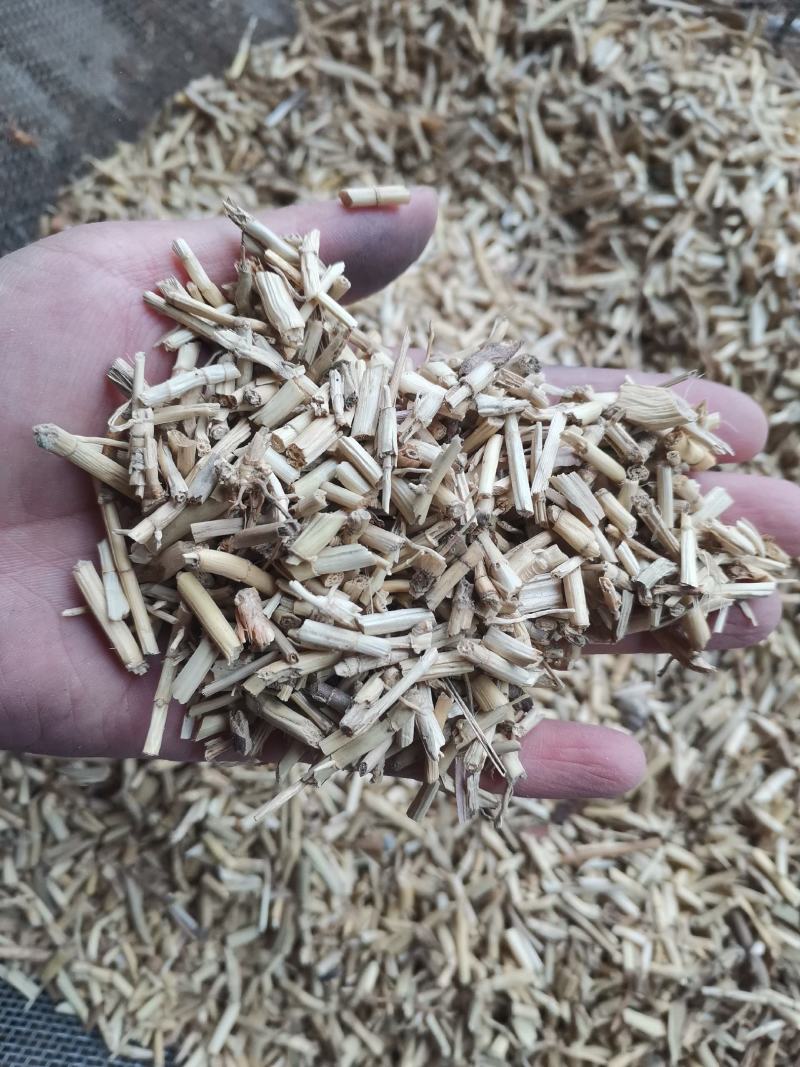 【诺一药材】白茅根可视频看货精品药材