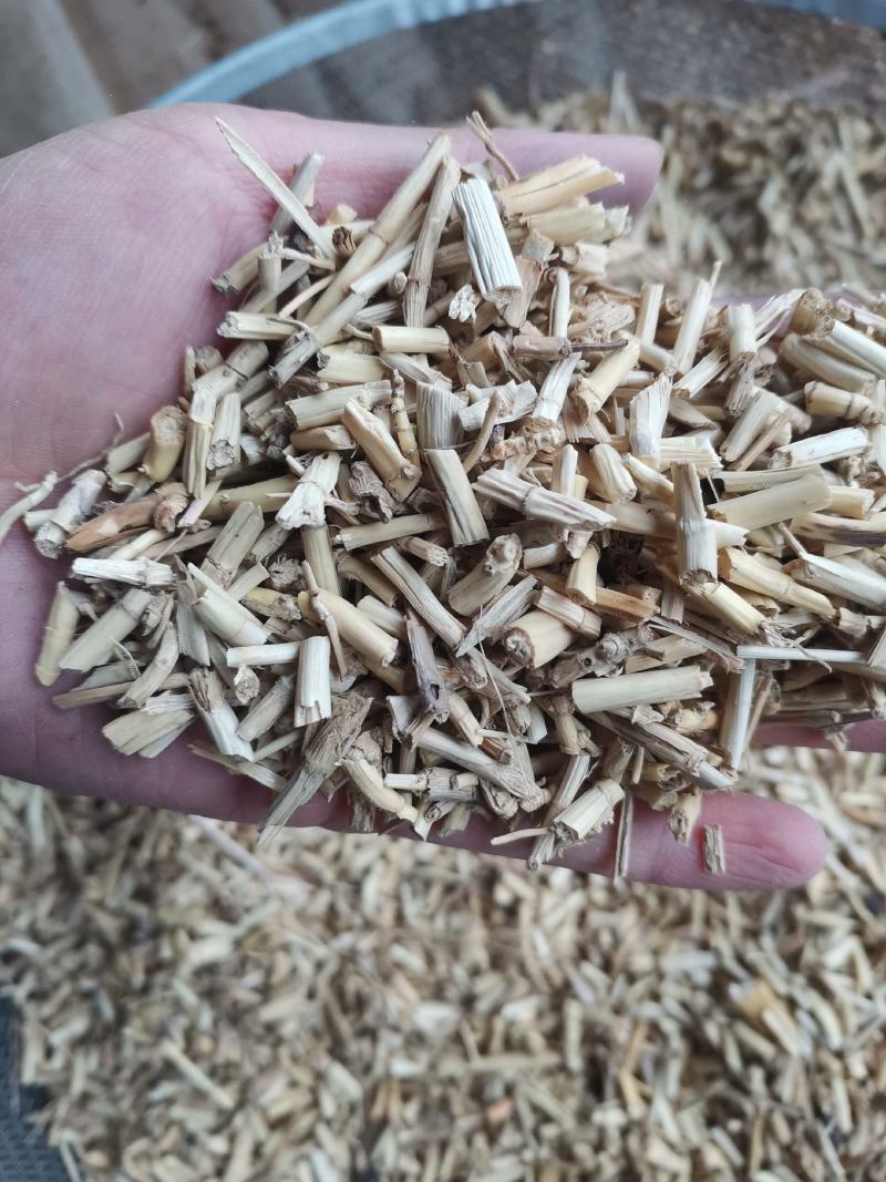 【诺一药材】白茅根可视频看货精品药材