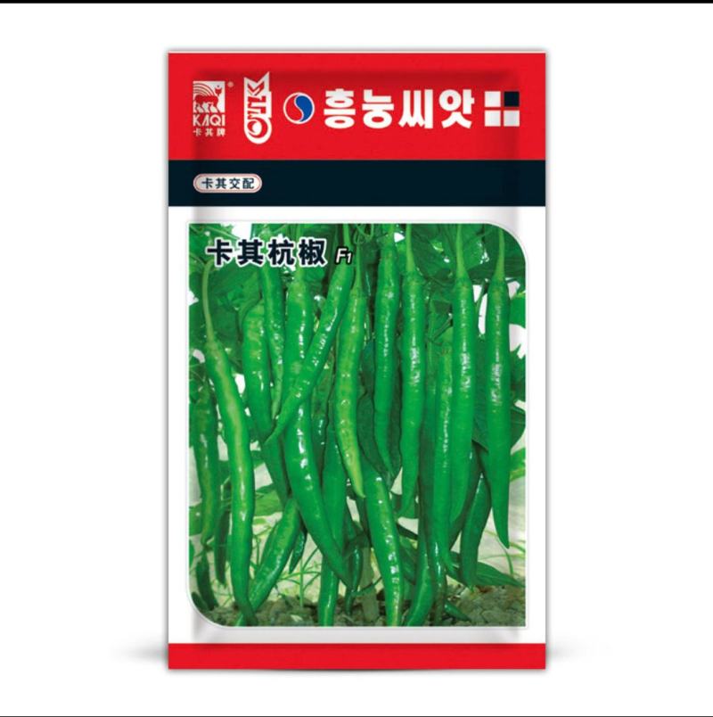 杭椒种子味辣仁川2号早熟耐寒抗病果绿农家庭院春秋大田蔬菜
