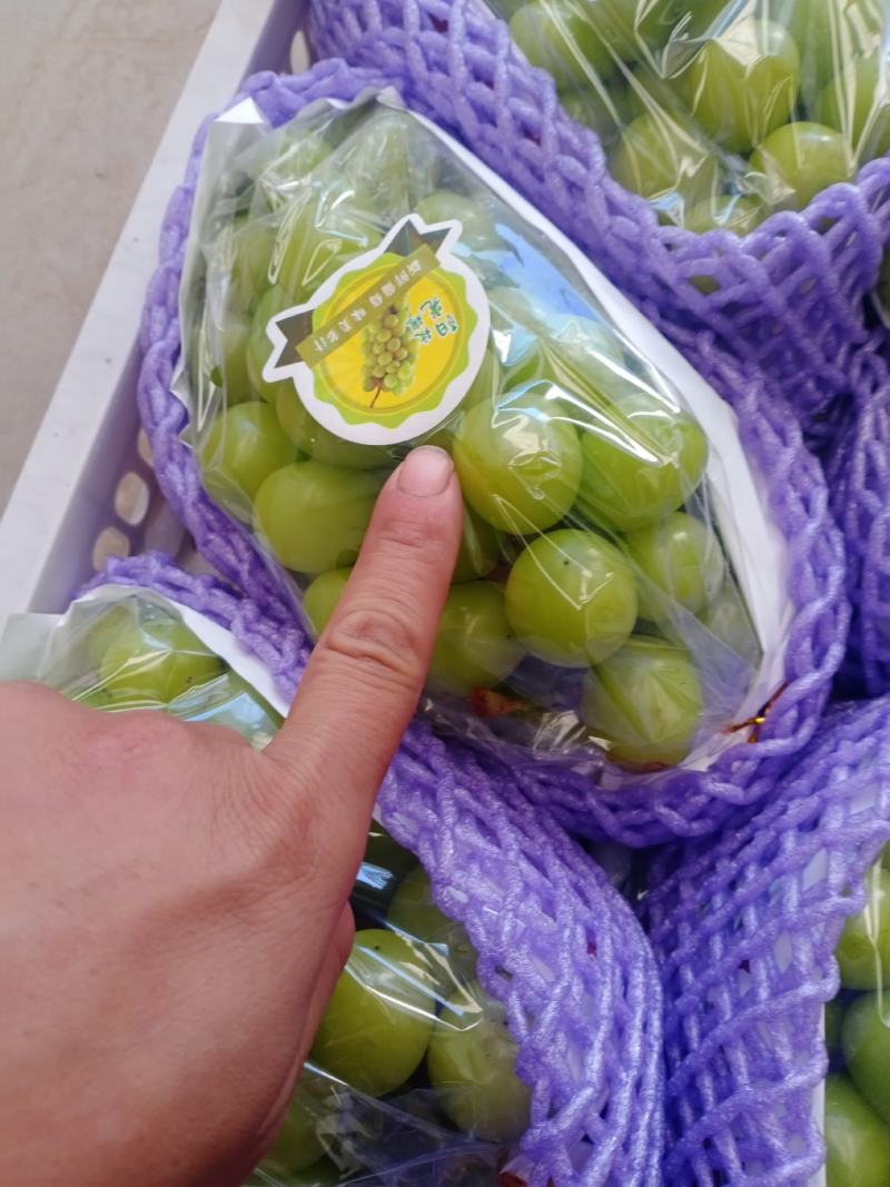 冷库的精品阳光玫瑰出库了，各种等级，还有大量的巨峰框装的
