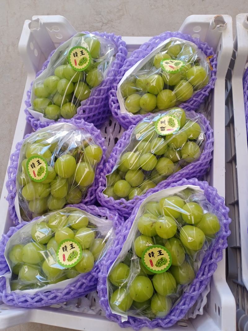 冷库的精品阳光玫瑰出库了，各种等级，还有大量的巨峰框装的
