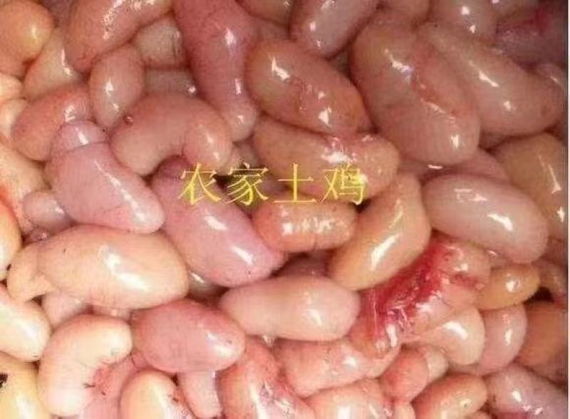 纯干鸡腰子