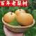 【一件代发】山东秋月梨当季新鲜水果中通包邮礼盒装可选