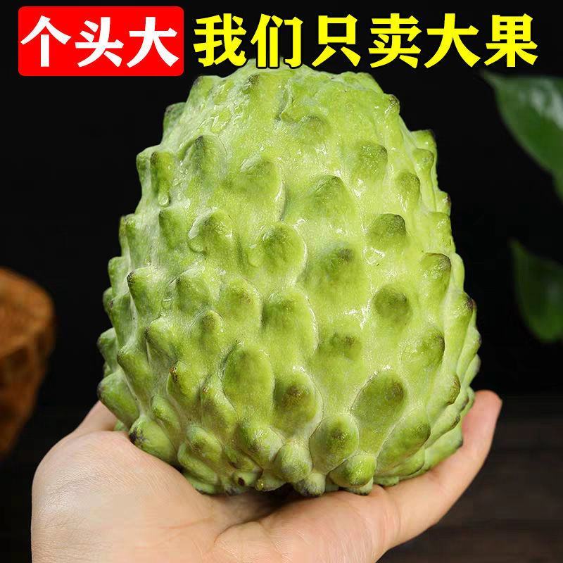 一件代发，释迦果，台湾释迦果软糯香甜，支持微商电商代发