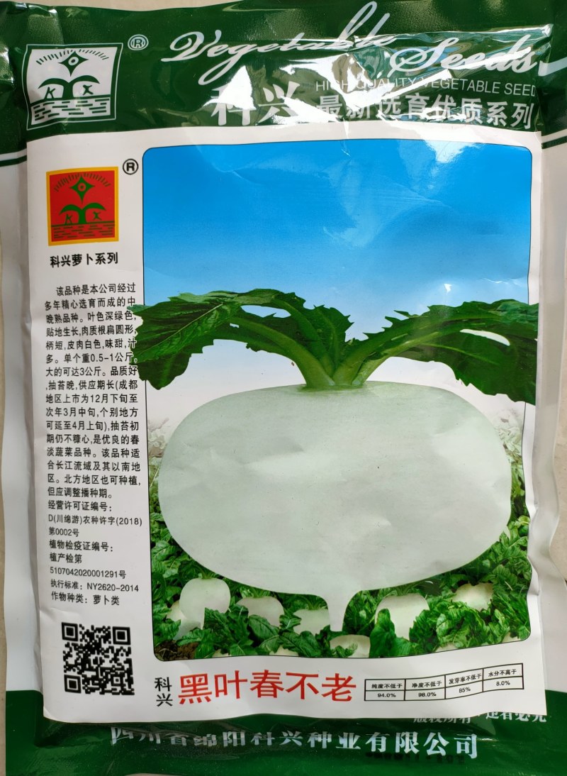 耐寒耐抽苔黑叶春不老萝卜种子黑叶圆白萝卜种子