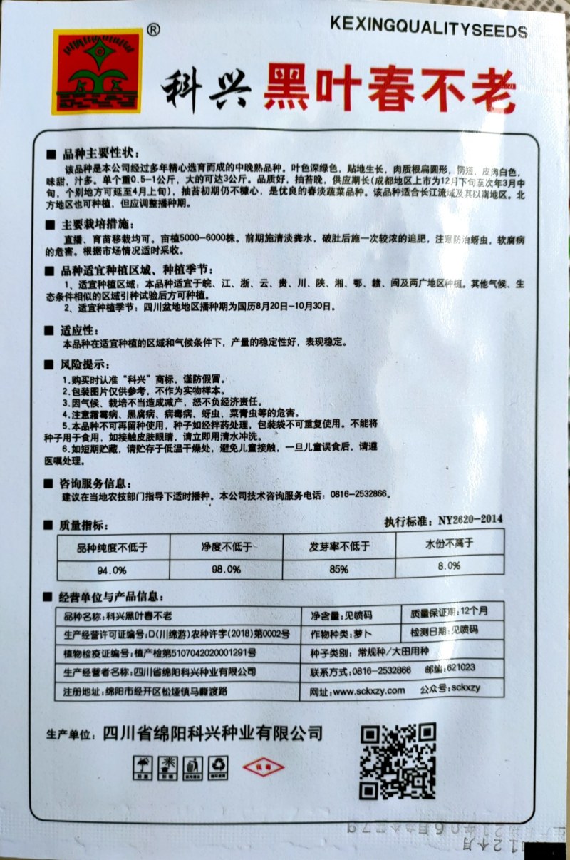耐寒耐抽苔黑叶春不老萝卜种子黑叶圆白萝卜种子