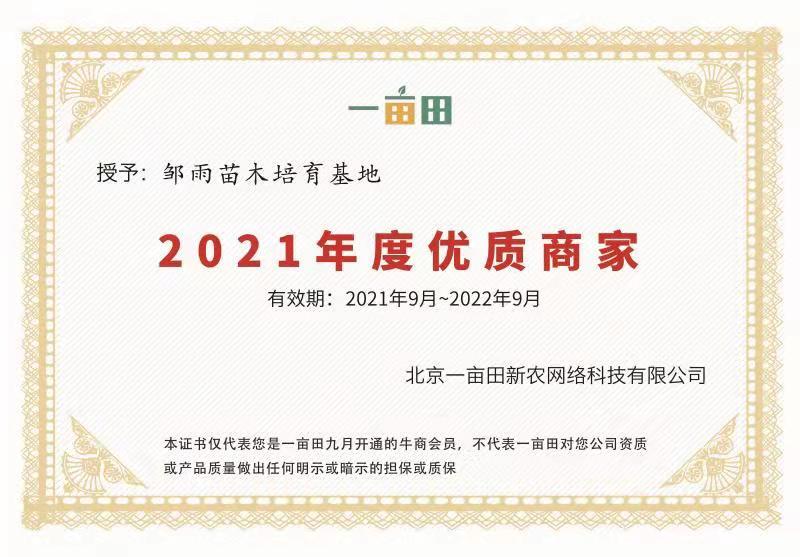 阳光玟瑰嫁接葡萄苗，直根苗，南北均可种植。