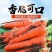 胡萝卜，吉林长春农安精品胡萝卜，产地直供，货源足全国发货