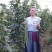 【高品质】荚荚乐3号翠绿豇豆种子耐热越夏4荚80公分
