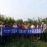 【高品质】荚荚乐3号翠绿豇豆种子耐热越夏4荚80公分