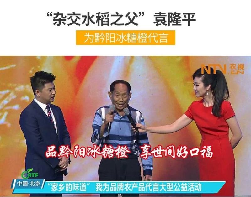 《黔阳冰糖橙》一件代发包装果一手货源，货源充足质量有保障