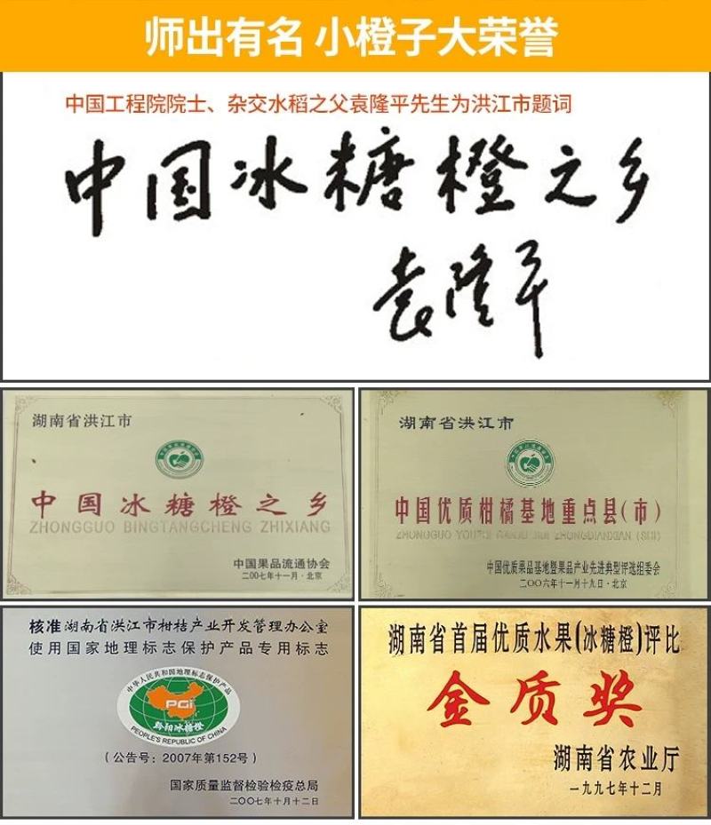 《黔阳冰糖橙》一件代发包装果一手货源，货源充足质量有保障