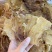 鱼胶花胶干货正品质量深海鳕鱼胶孕妇产后滋补品