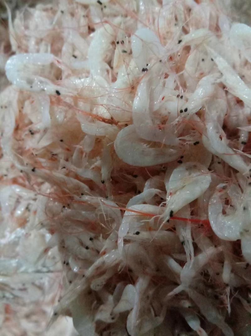 渤海湾咸虾皮大量有货，价格便宜可以做食品加工，需要的联系