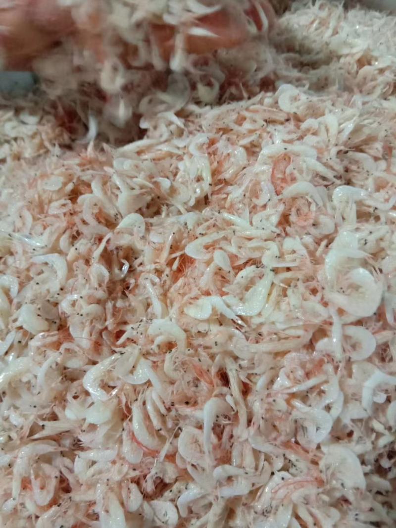 渤海湾咸虾皮大量有货，价格便宜可以做食品加工，需要的联系