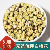 【梅花新货】头茬无硫白梅花绿梅花手工挑选包邮