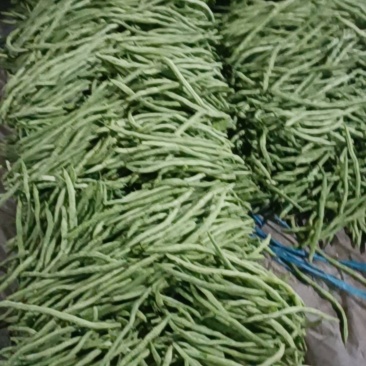 四季豆大量上市。优质芸豆上市，，，，，，