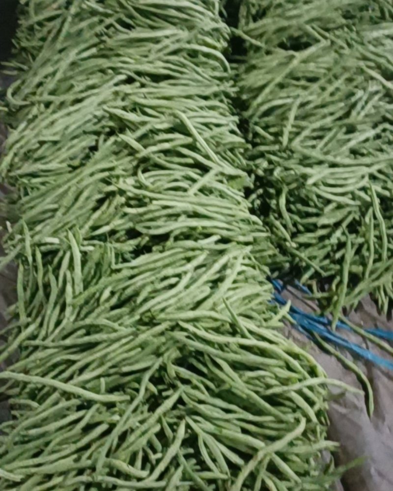 四季豆大量上市。优质芸豆上市，，，，，，