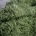 四季豆大量上市。优质芸豆上市，，，，，，