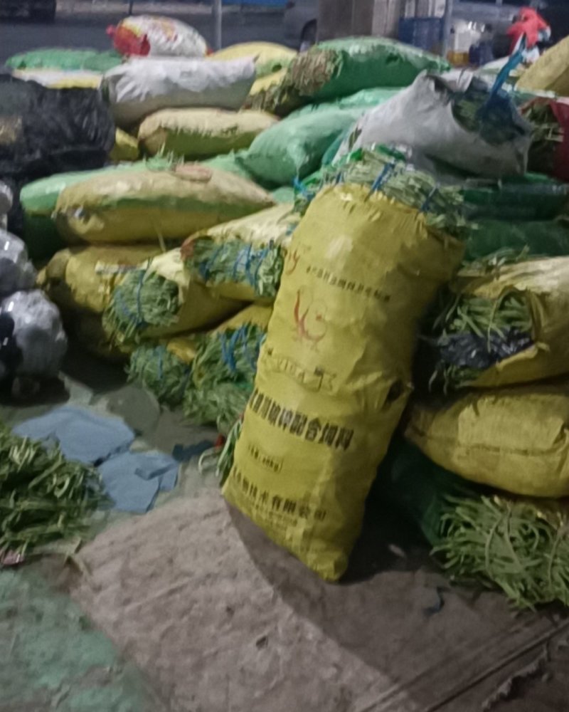 四季豆大量上市。优质芸豆上市，，，，，，