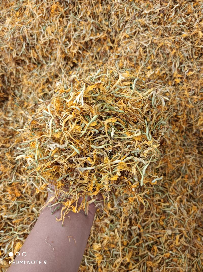 金银花苗苗圃直销，包成活率，低价出售，苗圃直销