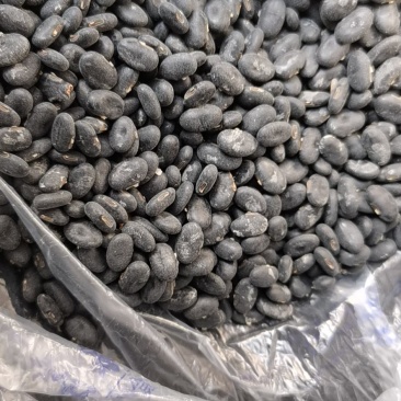 精品黄仁黑豆
