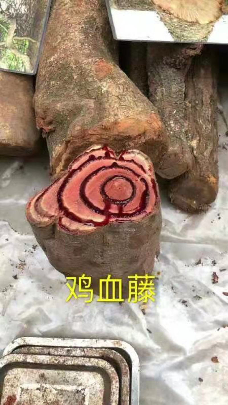 云南鸡血藤，新鲜，大条，肉红。血多。卖相好