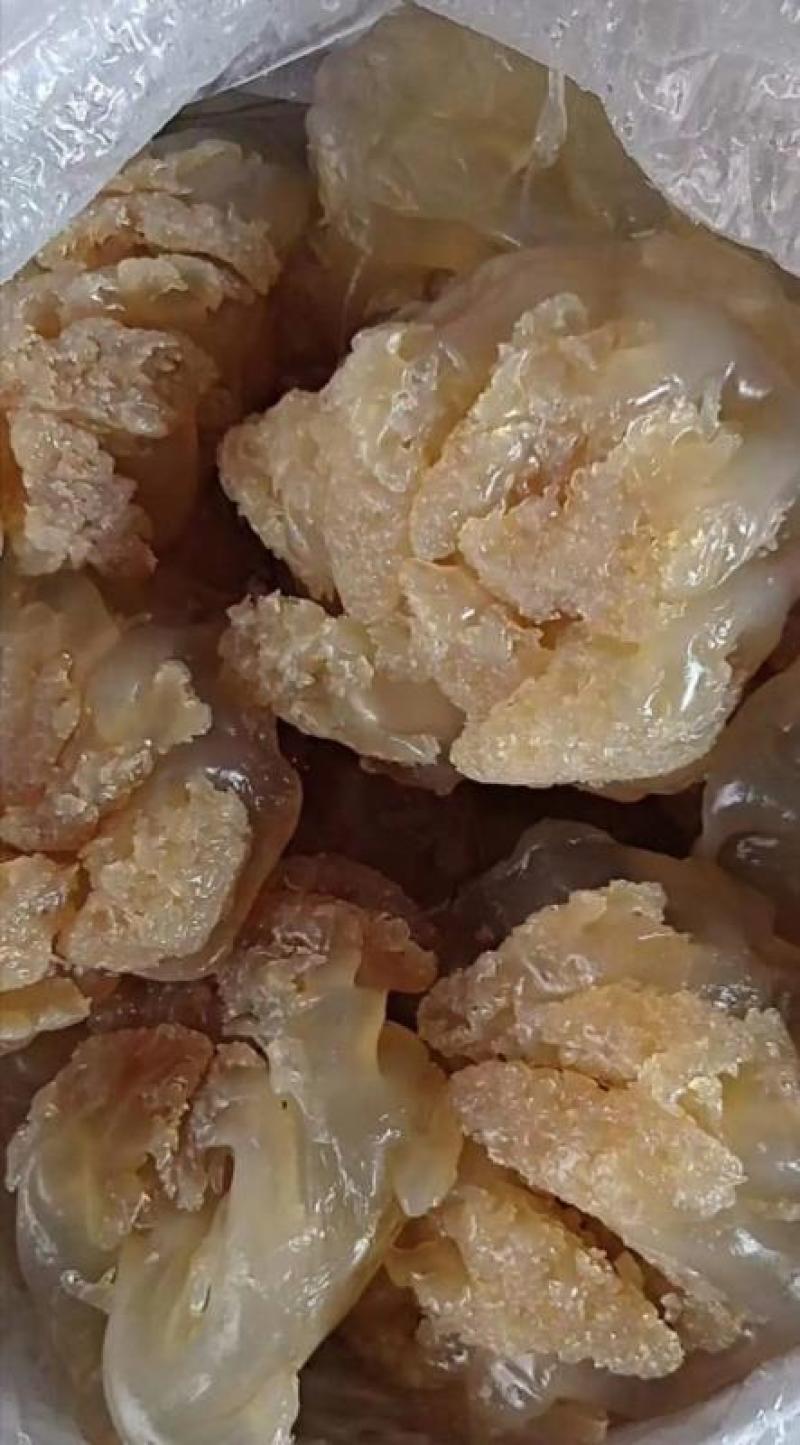 海蜇头，八爪头印尼头爽脆可口营养丰富，价格便宜，大量有货