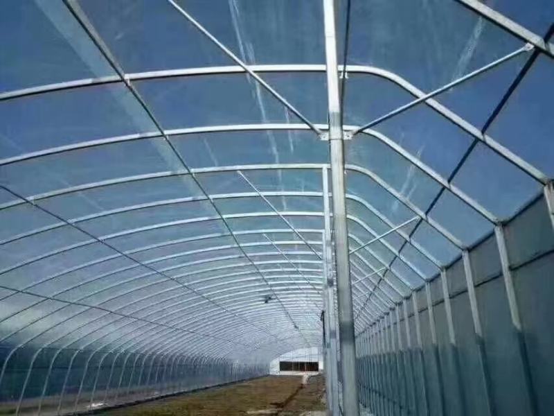 暖棚种植型日光温室半坡棚全钢架暖棚