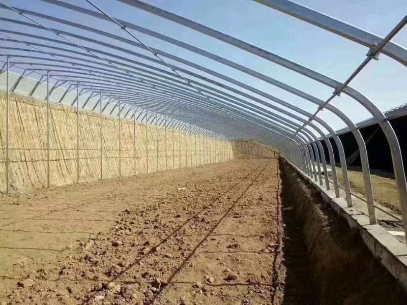 暖棚种植型日光温室半坡棚全钢架暖棚