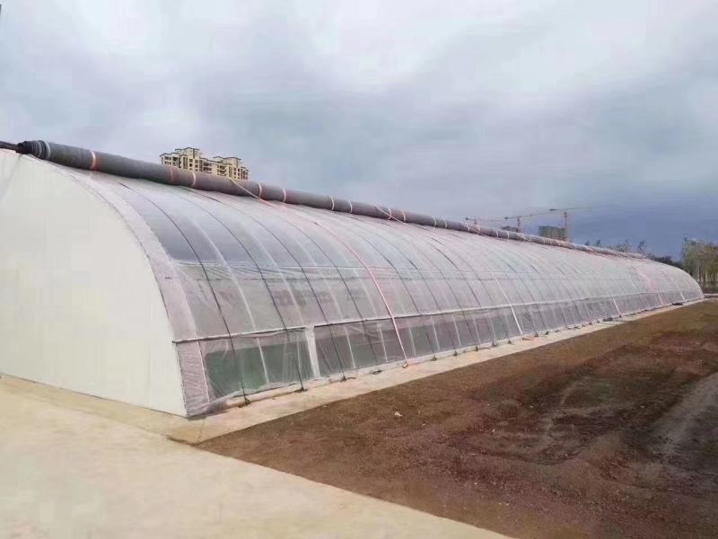 暖棚种植型日光温室半坡棚全钢架暖棚