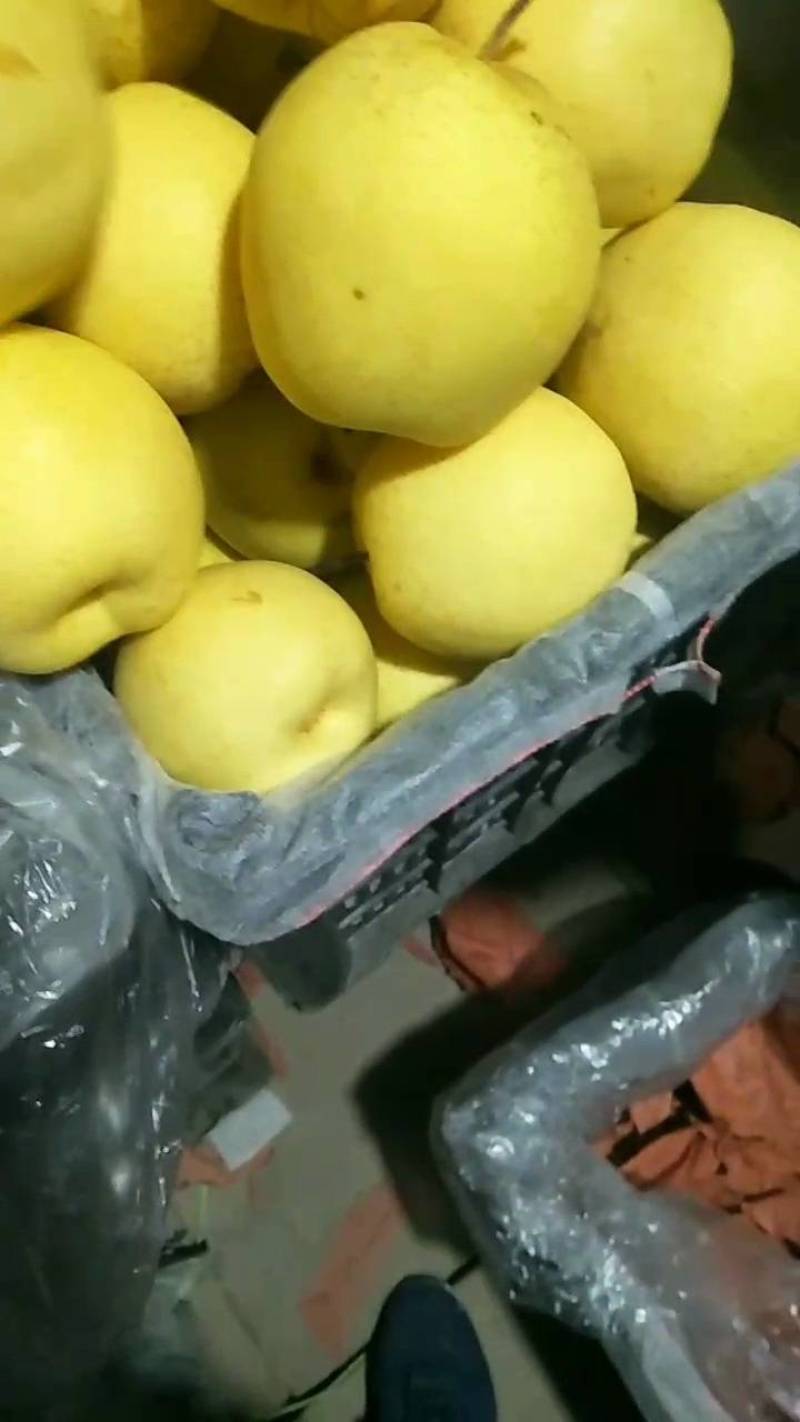 各种梨