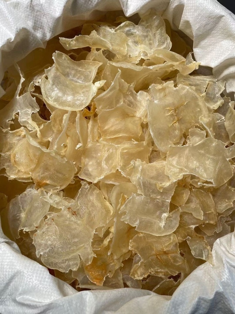 白花胶蝴蝶胶鱼胶蝶胶深海鱼胶奶冻干货不腥孕妇滋补品