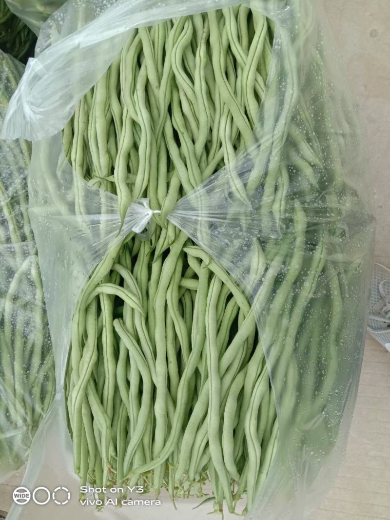 无筋豆基地一手货源大量优超市电商市场.全国发货