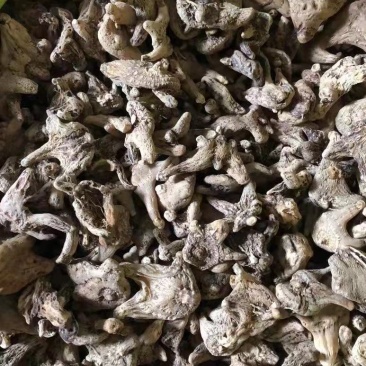 白芨、中药材干白芨，基地发货大量货源保证质量