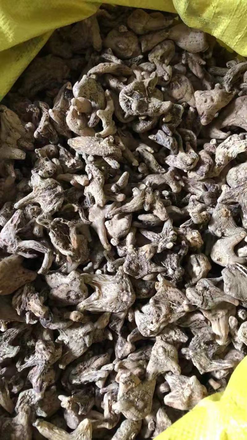 白芨、中药材干白芨，基地发货大量货源保证质量