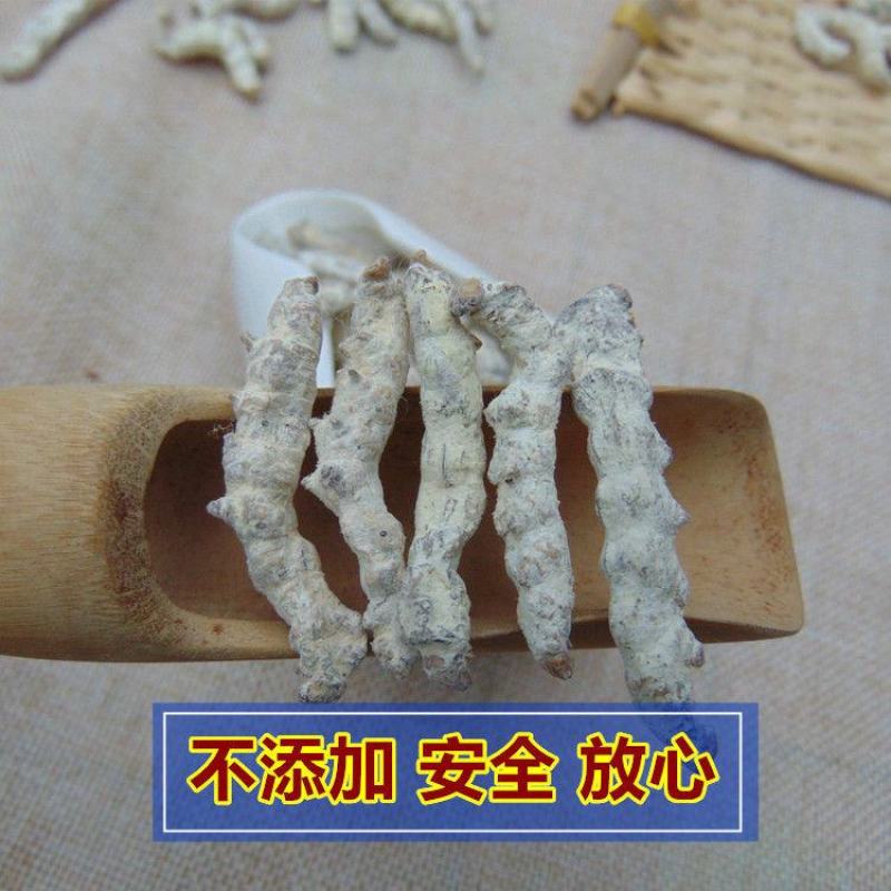 正品僵蚕白僵蚕七子白无硫炒僵蚕一公斤起