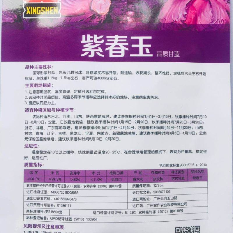 意大利进口紫甘蓝种子紫春玉圆球形甘蓝春秋，收获期长